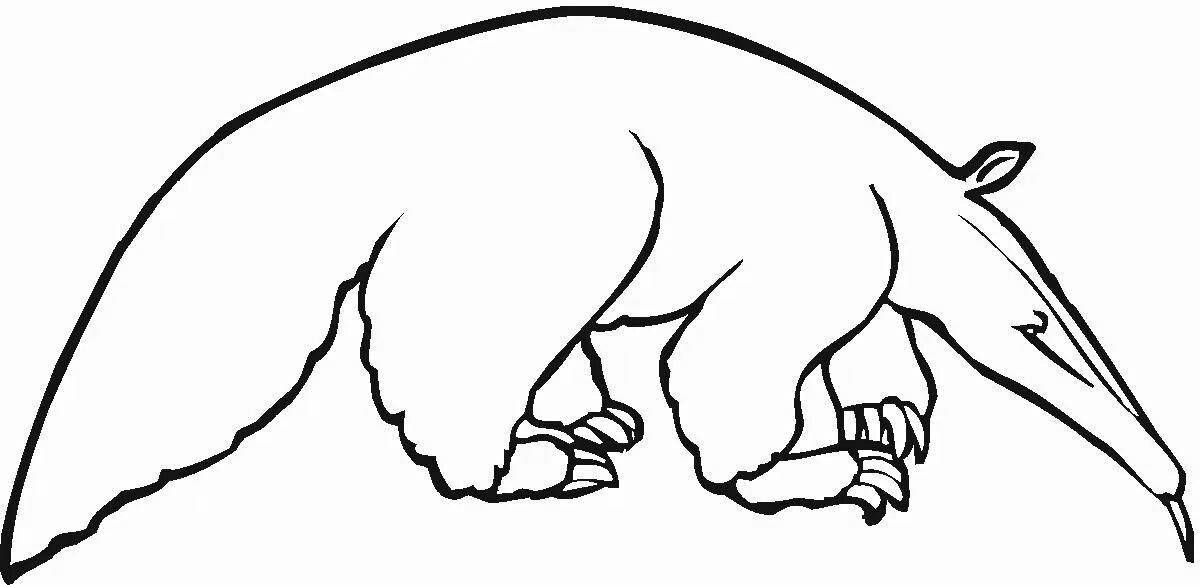 Coloring page wonderful anteater