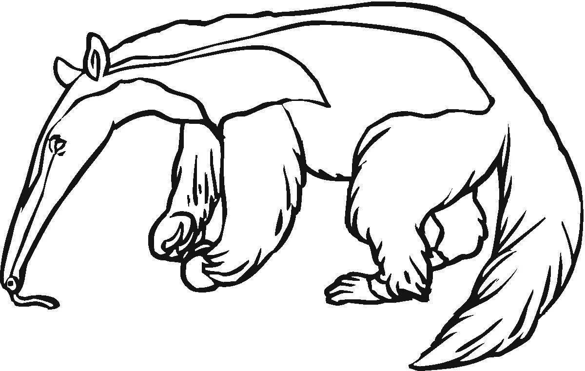 Large anteater coloring page