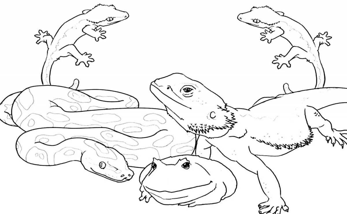 Playful amphibian coloring book