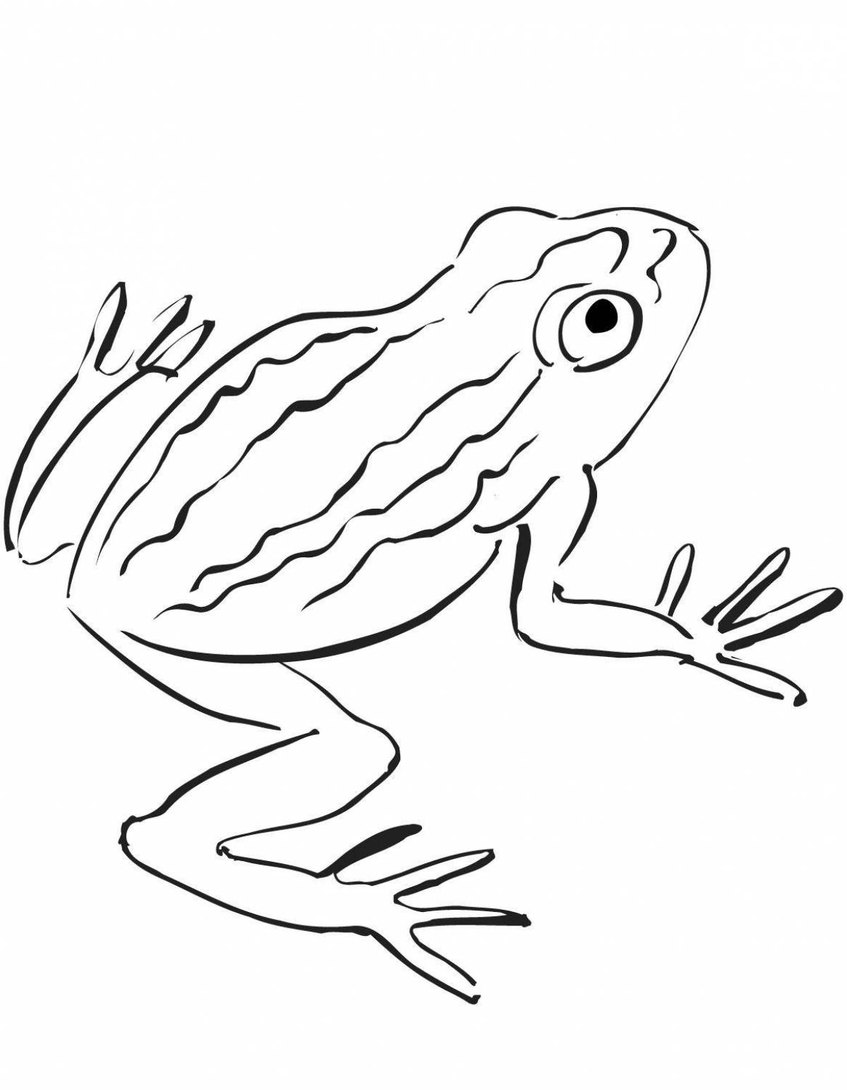 Animated coloring pages amphibians