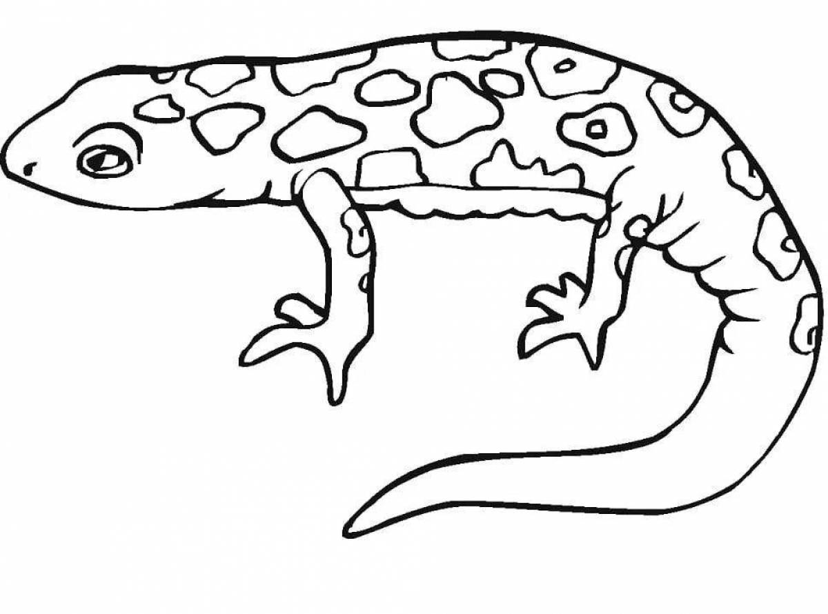 Violent amphibian skin