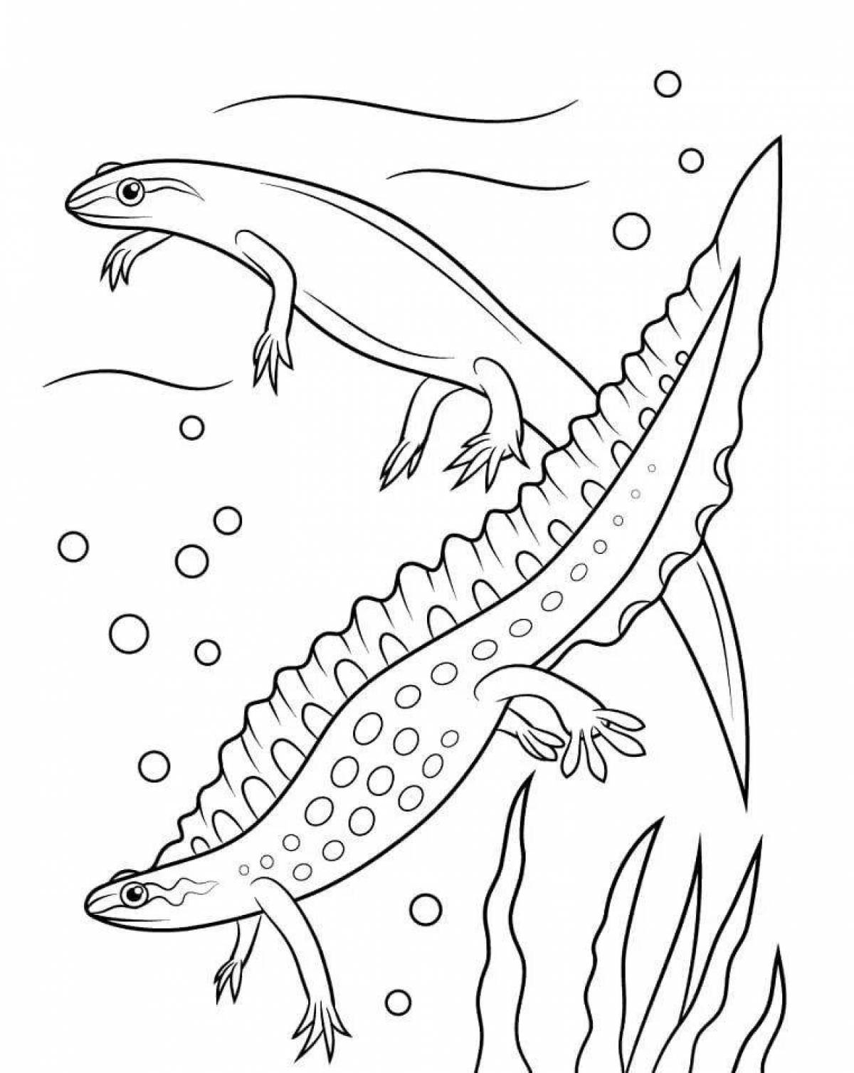 Tempting amphibian coloring pages
