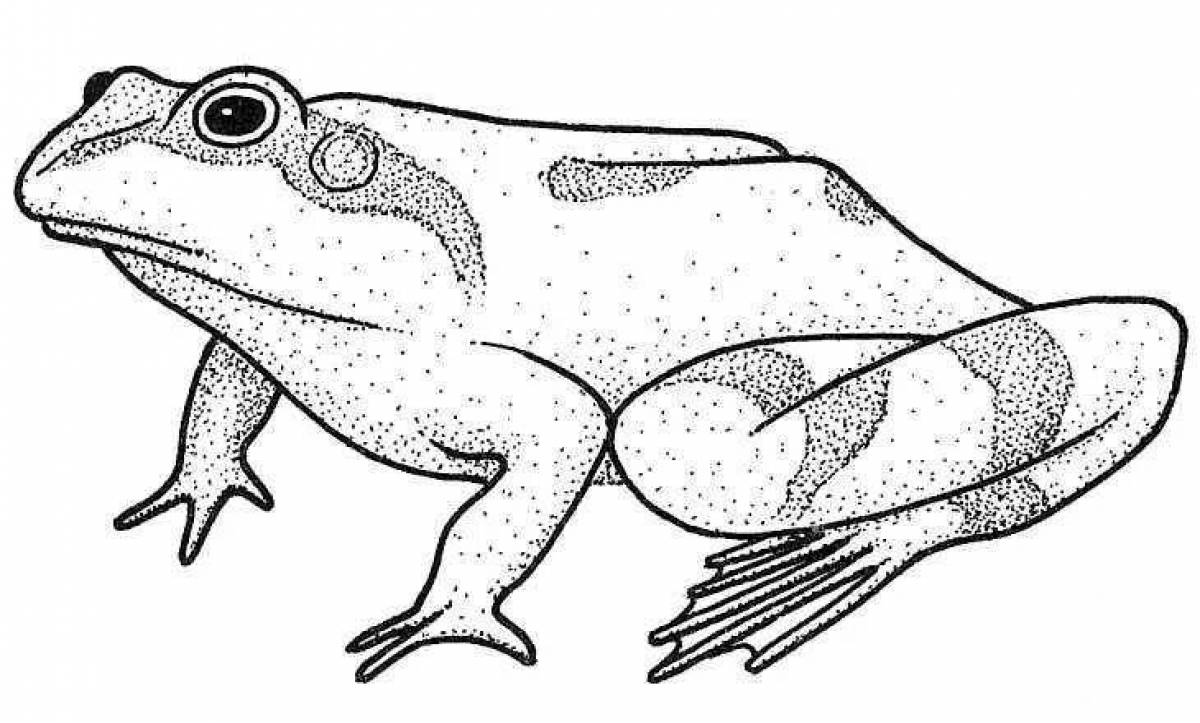 Adorable amphibian coloring pages