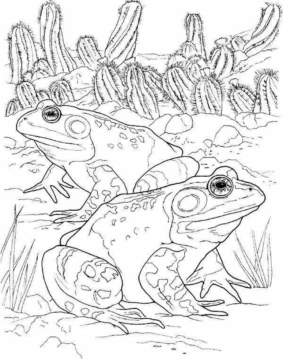 Great amphibian coloring book
