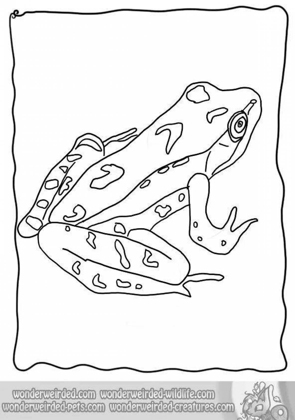 Glorious amphibian coloring page