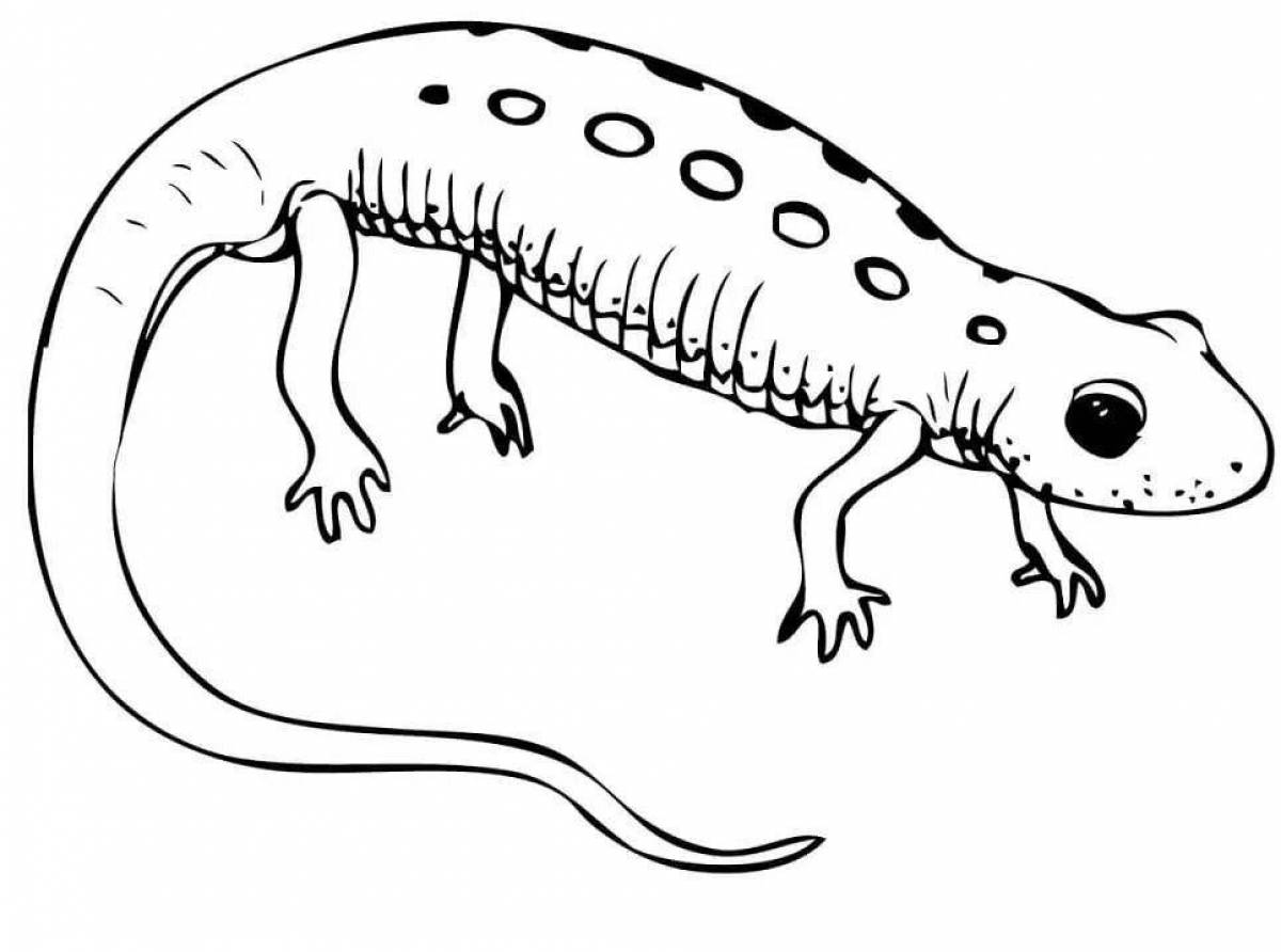 Radiant amphibian coloring page