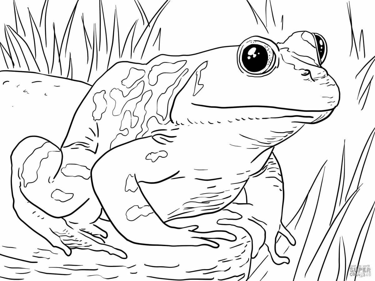 Amphibian glitter coloring pages