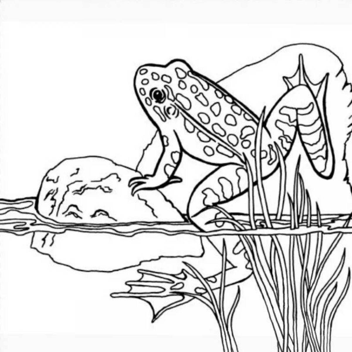 Amazing amphibian coloring pages