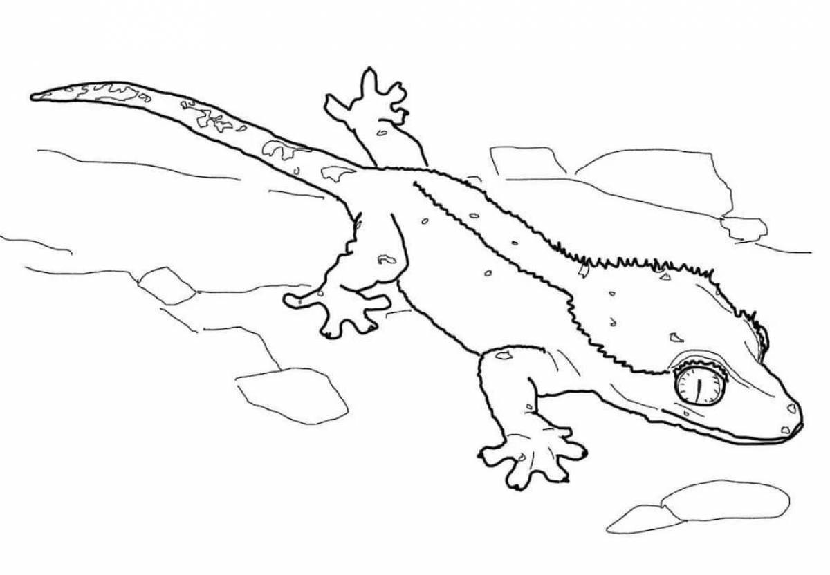 Coloring page bright gecko