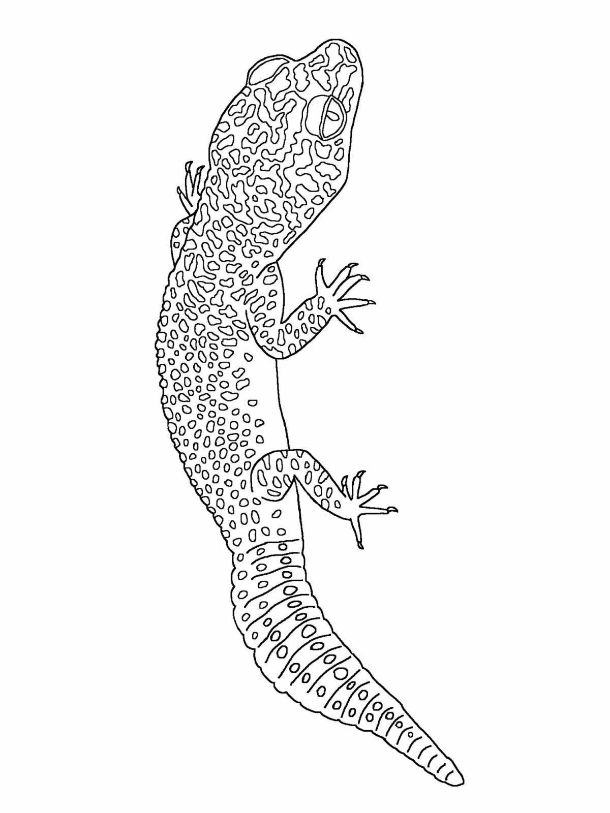 Coloring page funny gecko