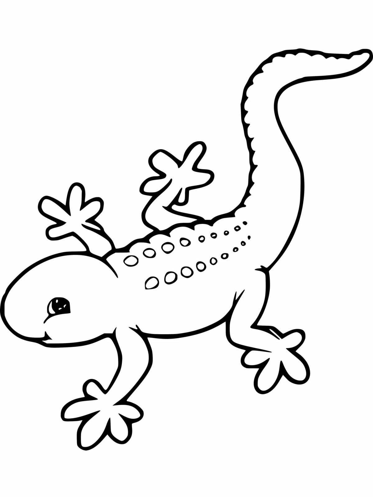 Gecko Live Coloring