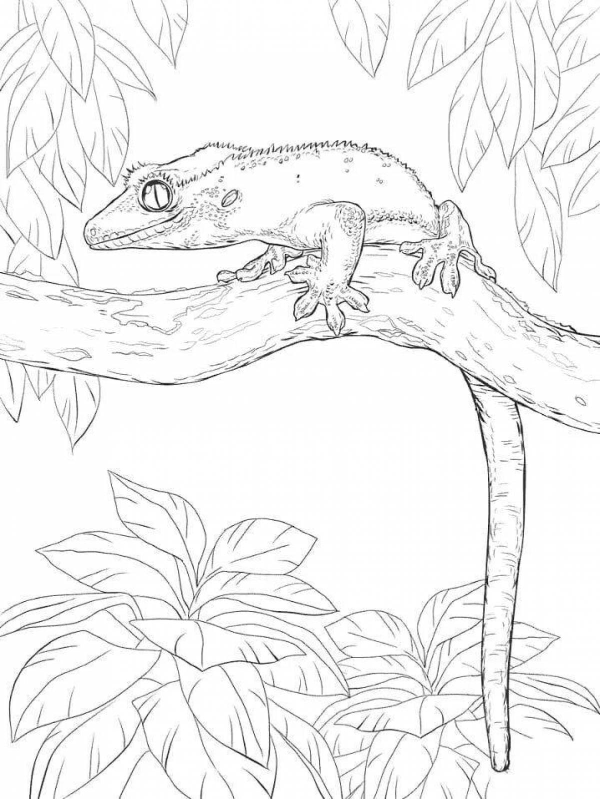 Adorable gecko coloring book