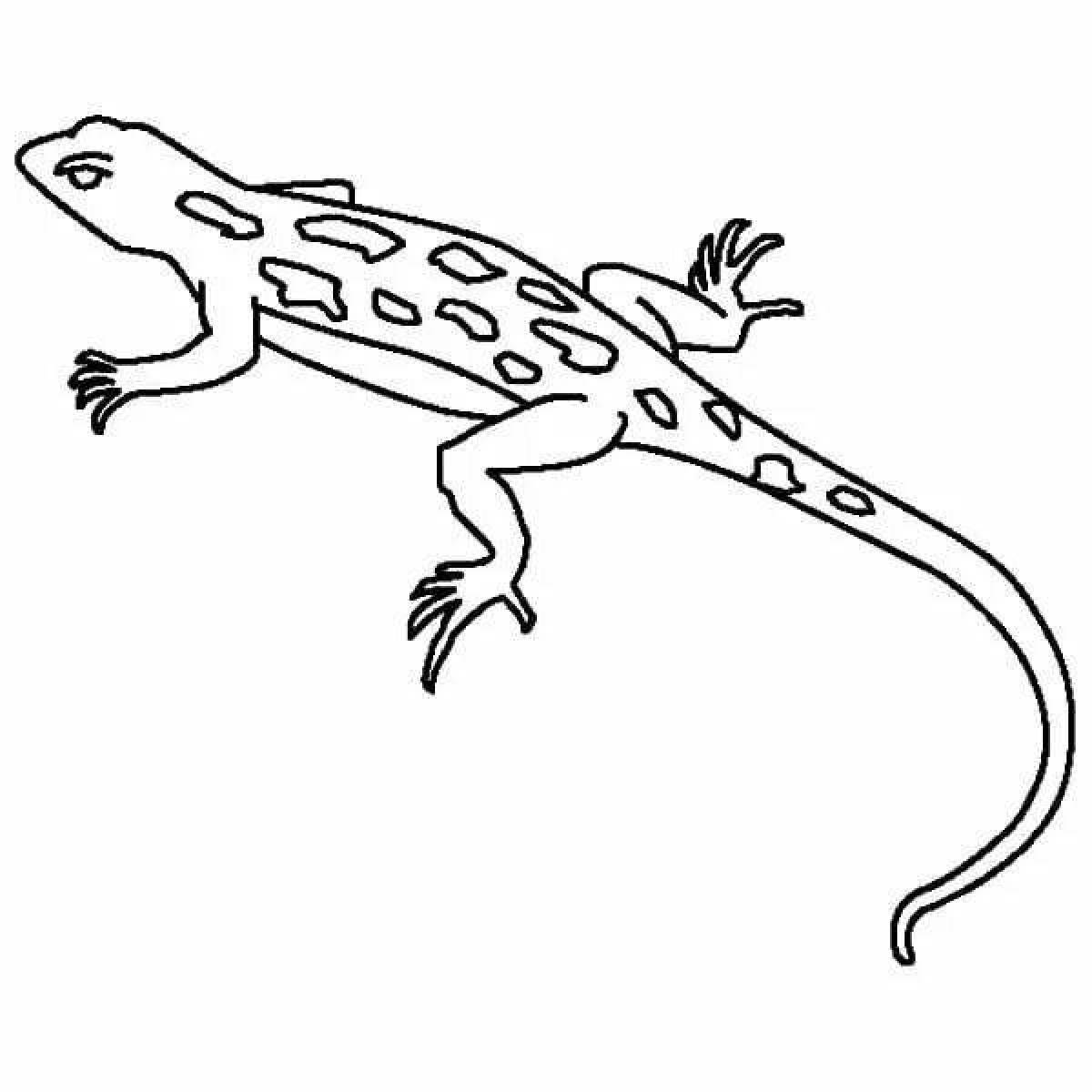 Delightful gecko coloring