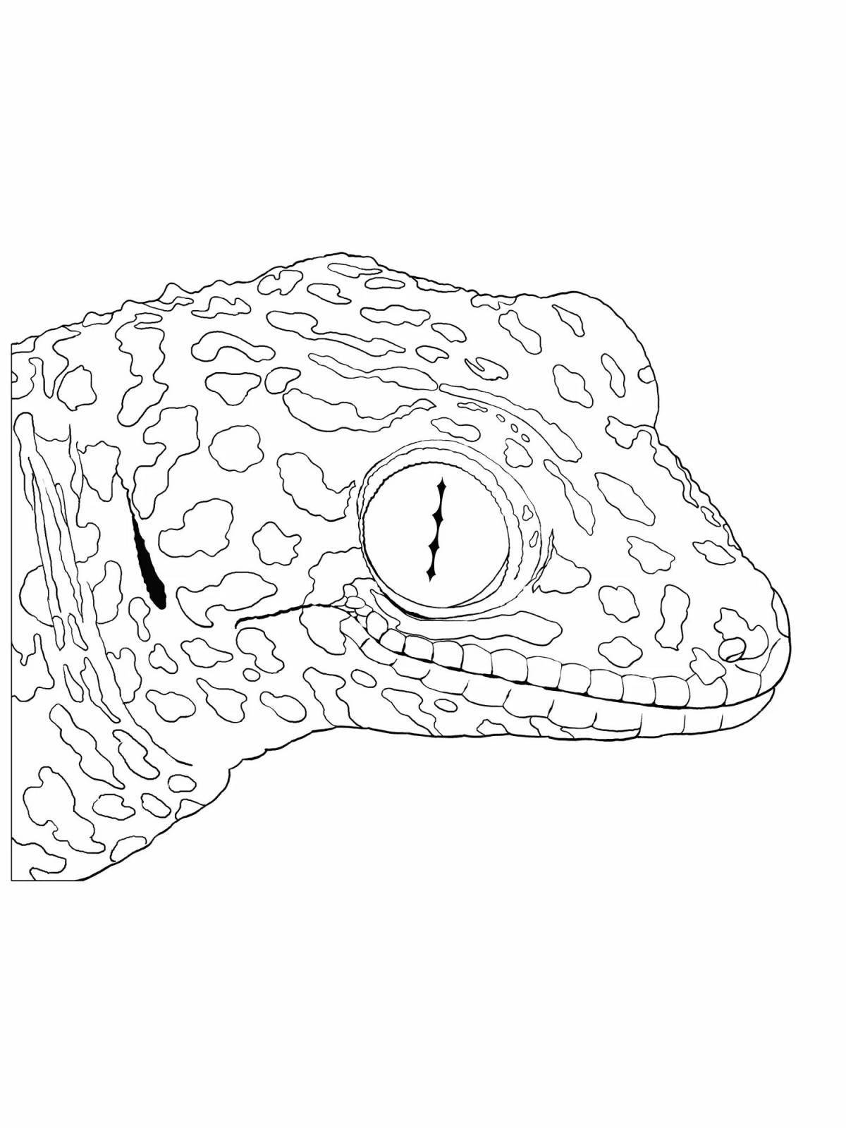 Great gecko coloring book