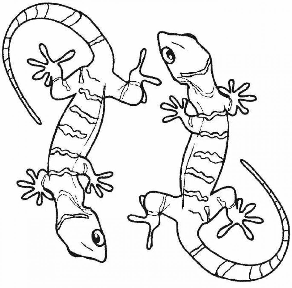 Раскраска элегантный геккон