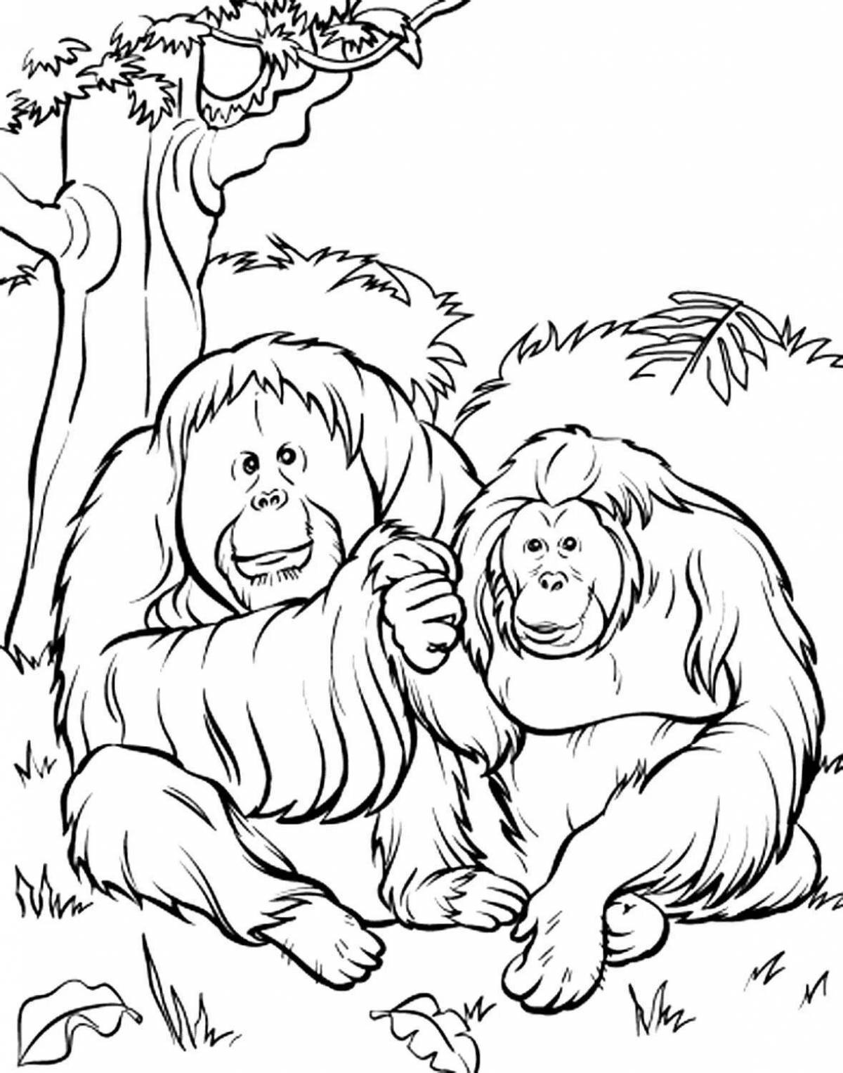 Coloring book cheerful orangutan