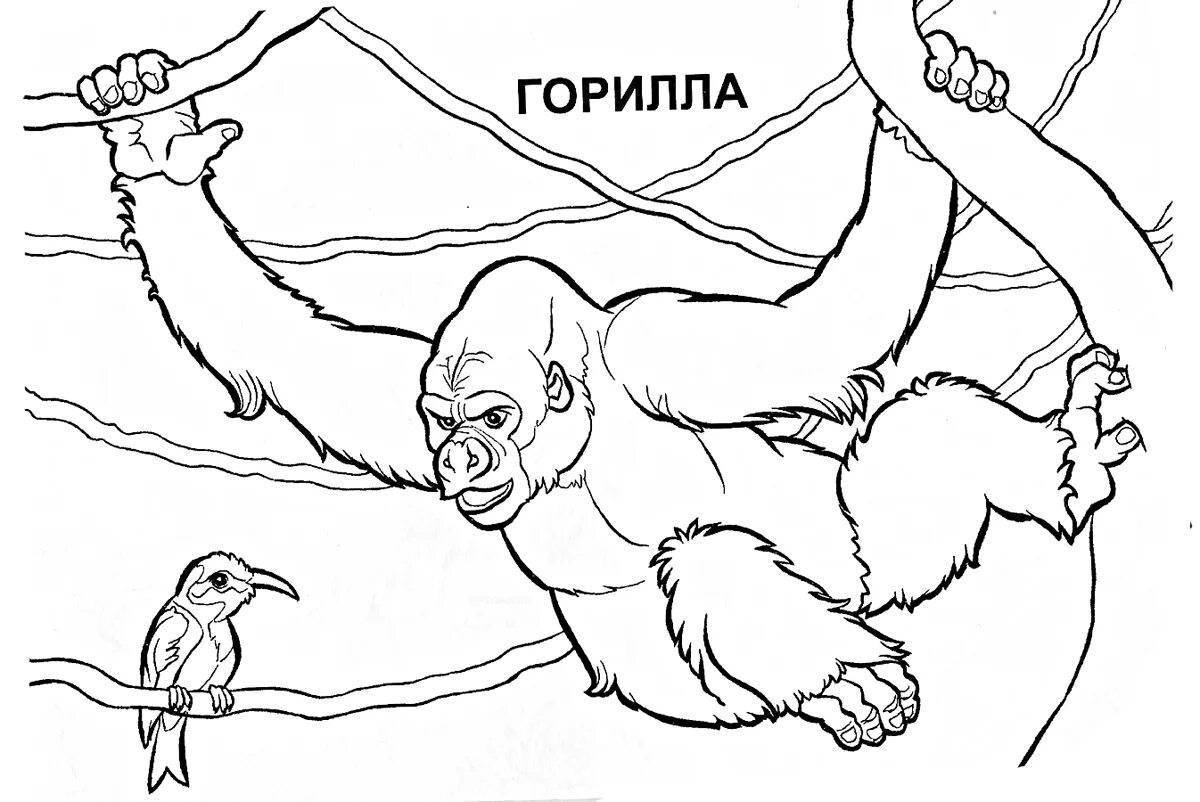 Charming orangutan coloring book