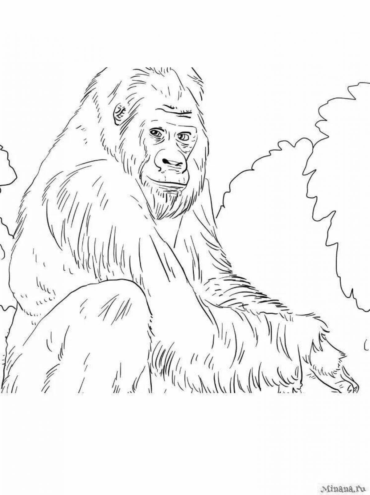 Милый орангутанг-раскраска