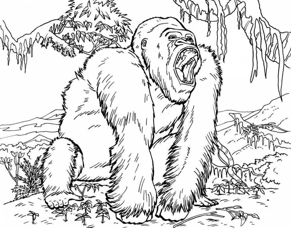 Fun orangutan coloring book