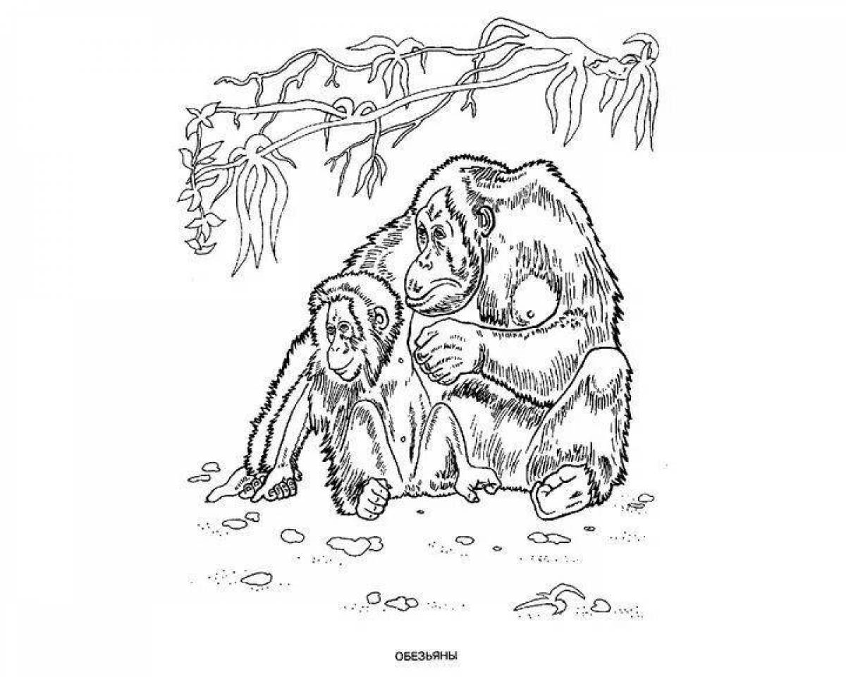 Привлекательная раскраска орангутанга