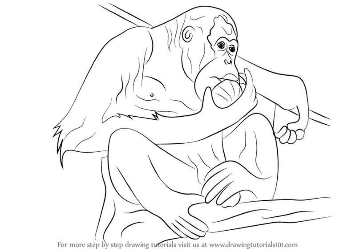 Mysterious orangutan coloring book