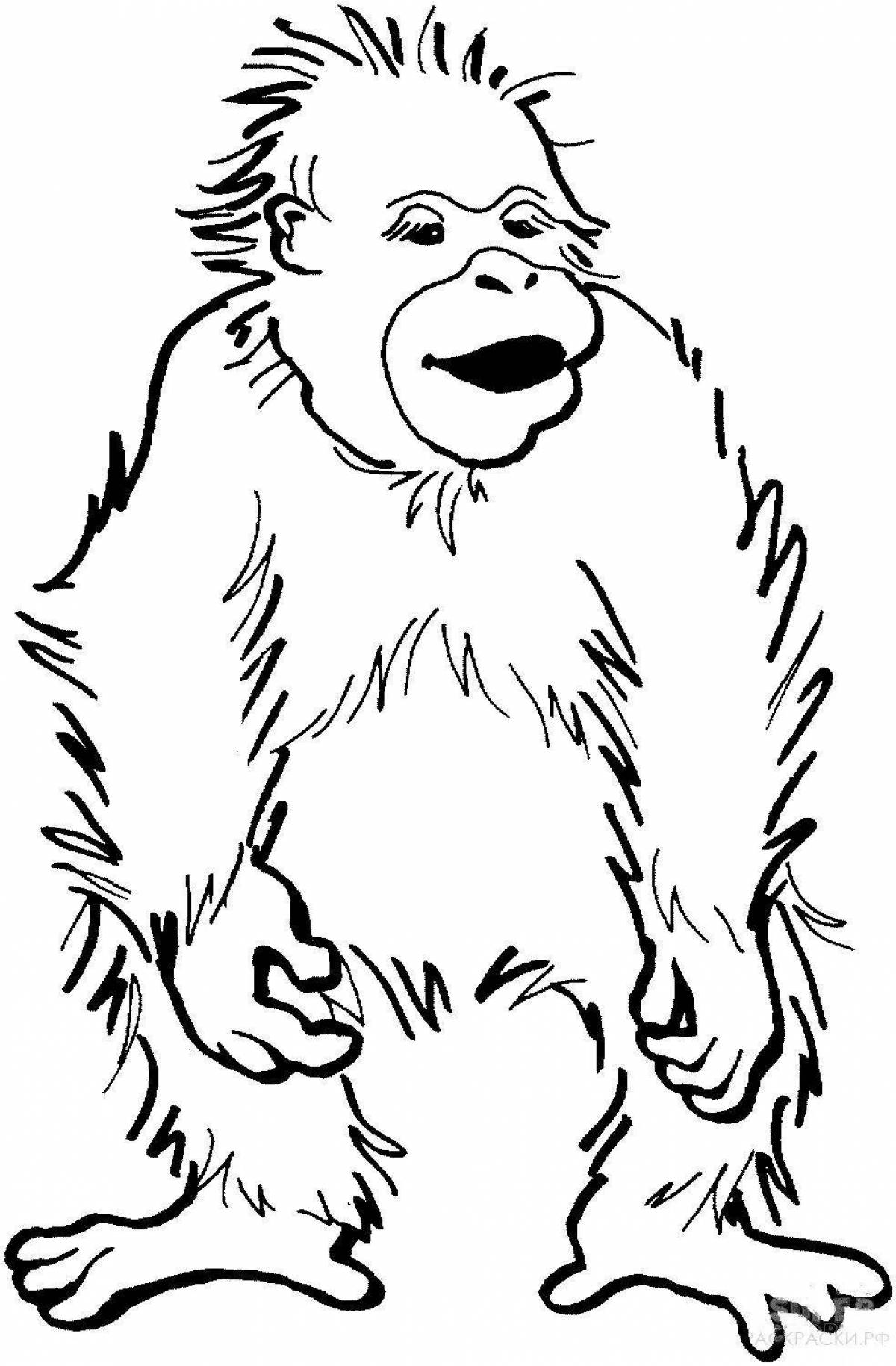 Majestic orangutan coloring page