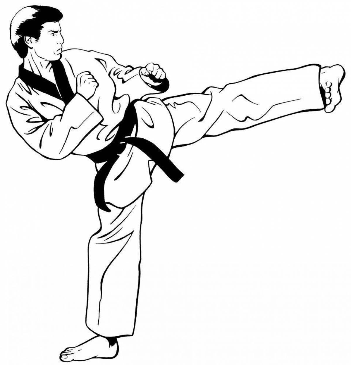 Colorful taekwondo coloring page