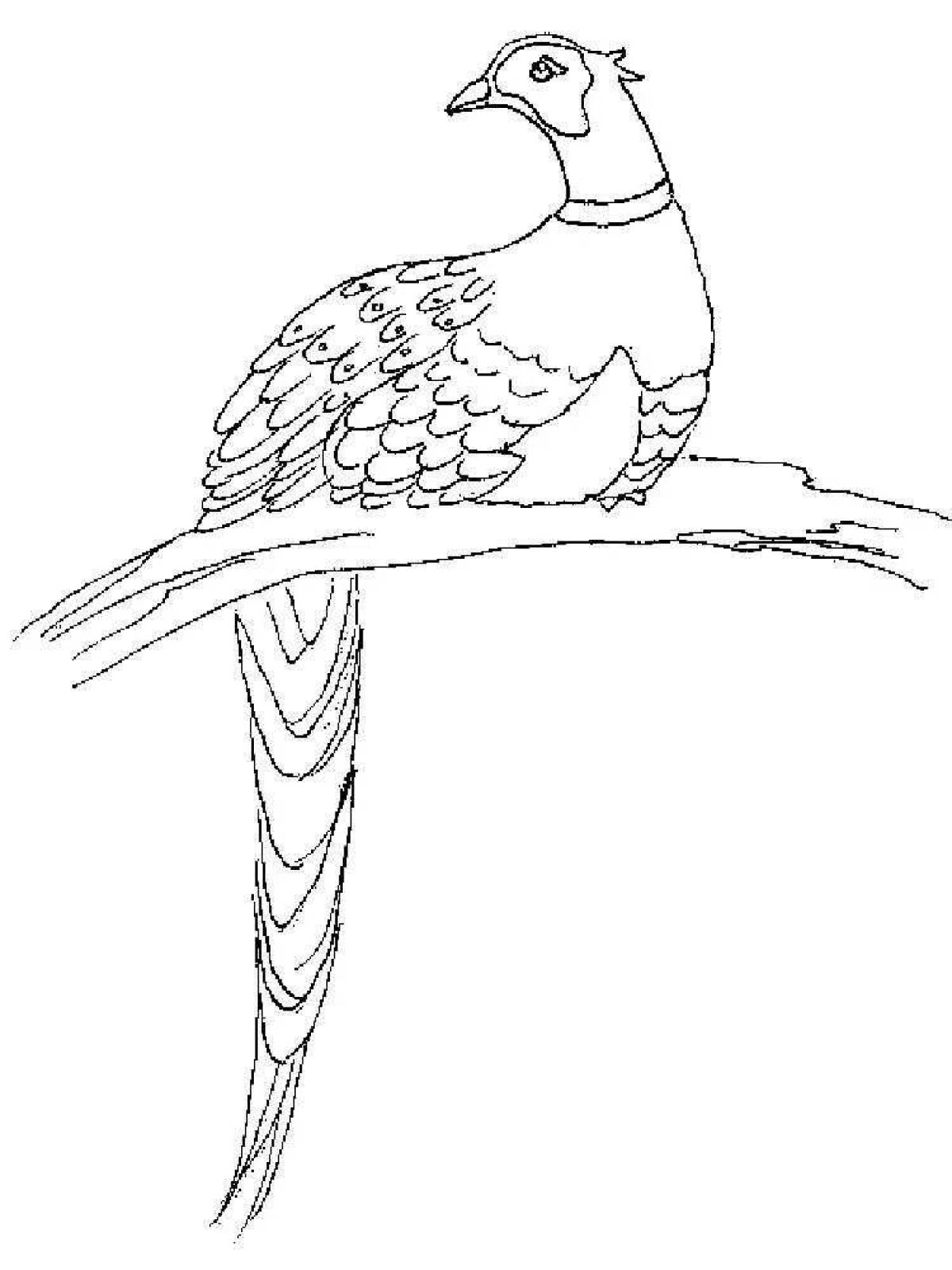 Awesome pheasant coloring page