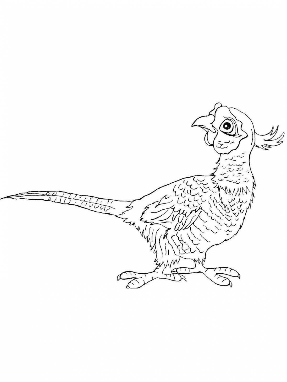 Раскраска буйный фазан