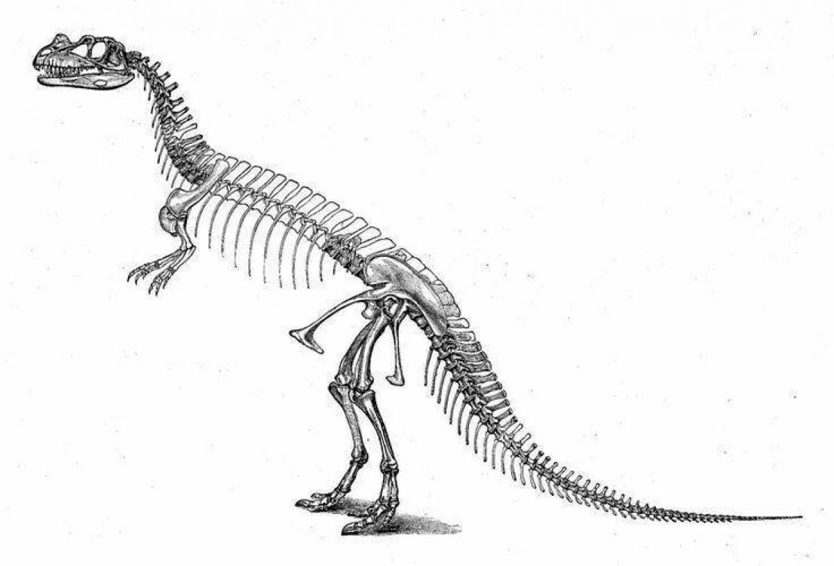 Причудливая раскраска цератозавра