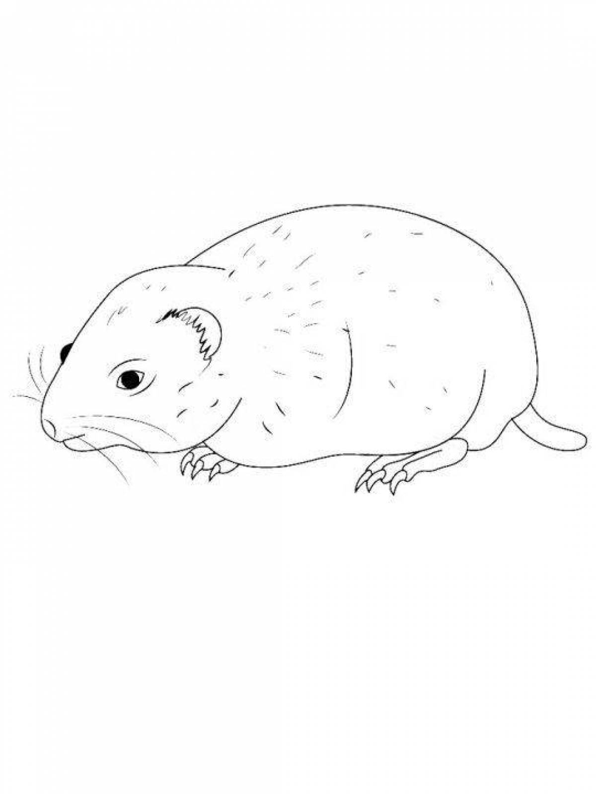 Vibrant lemming coloring page