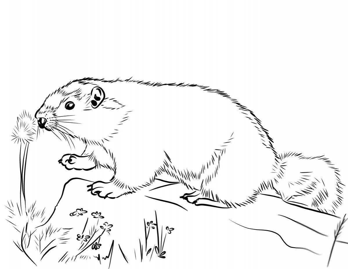 Coloring book funny lemming