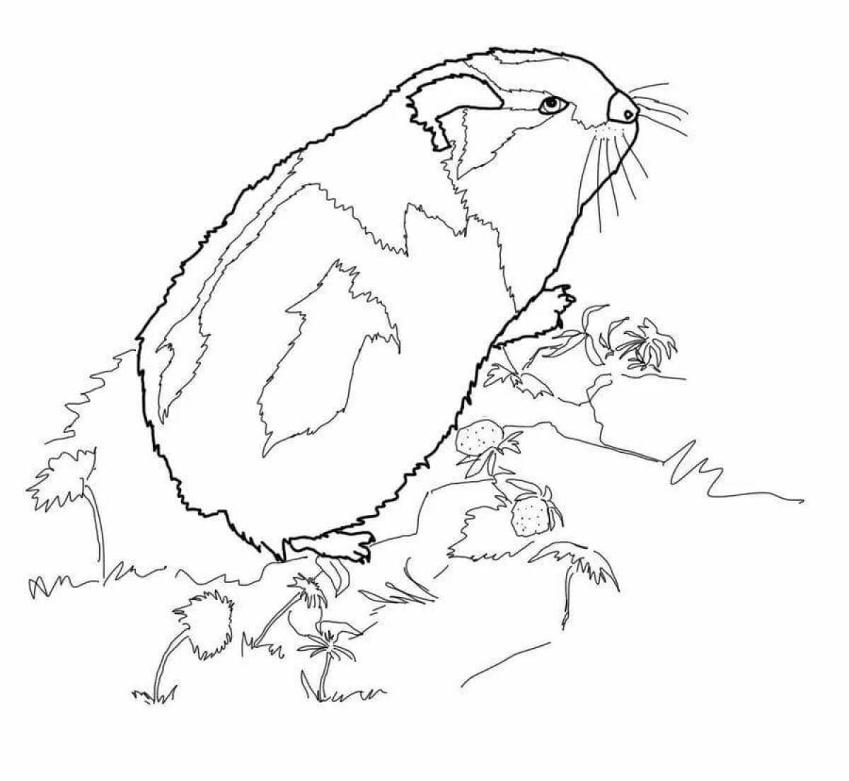 Adorable lemming coloring book