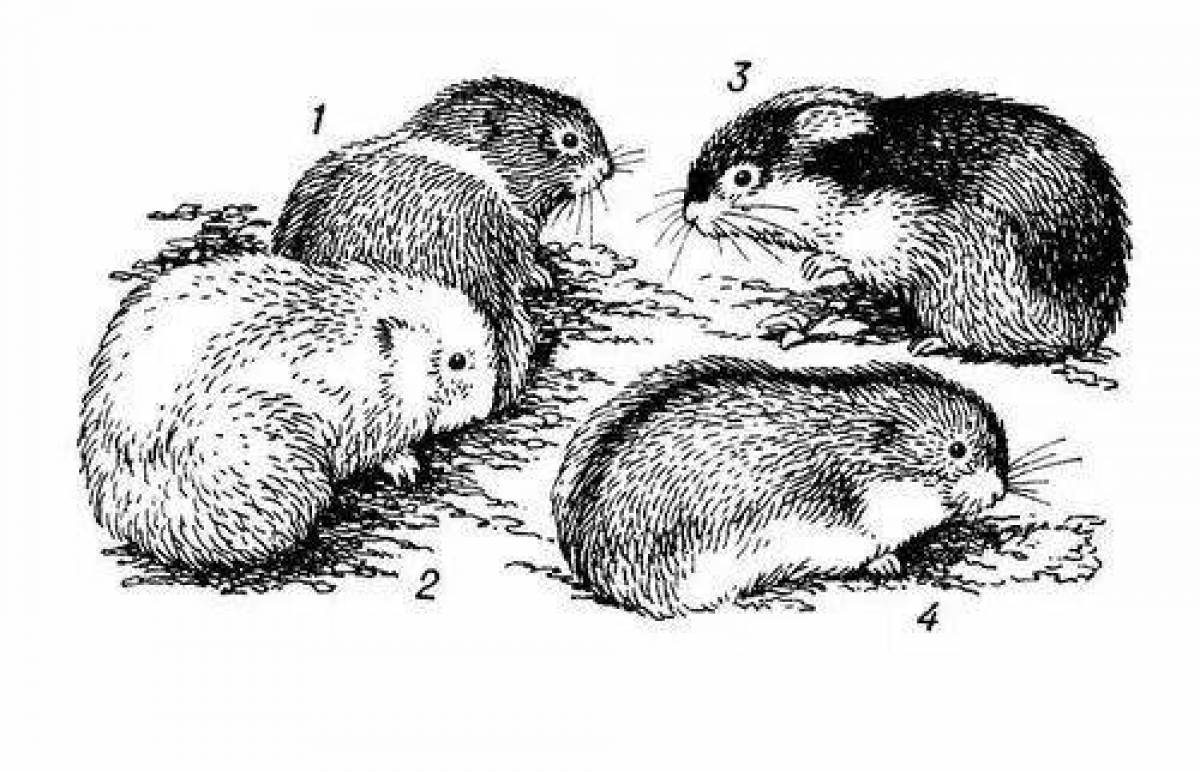 Animated lemming coloring page