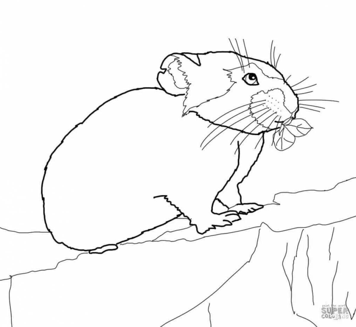 Delightful lemming coloring book