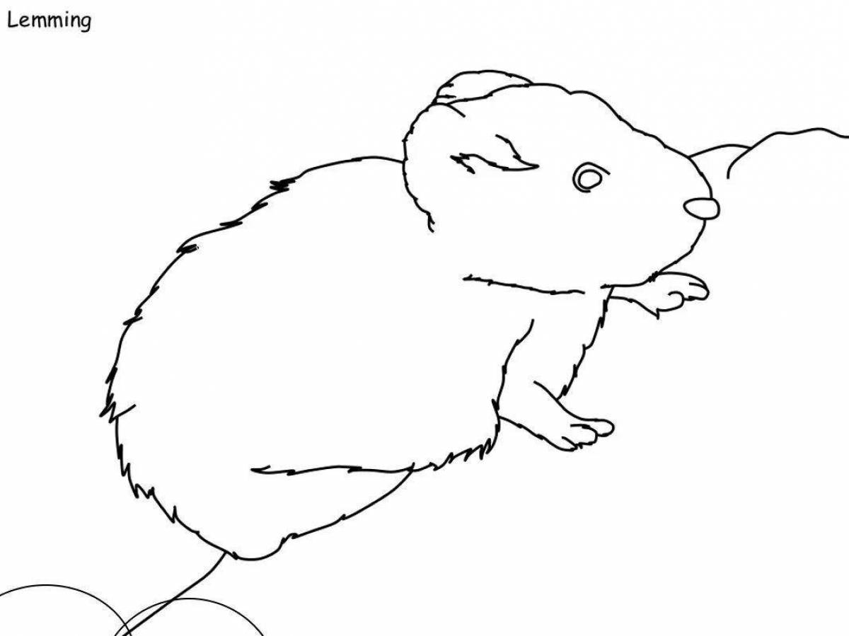 A funny lemming coloring book