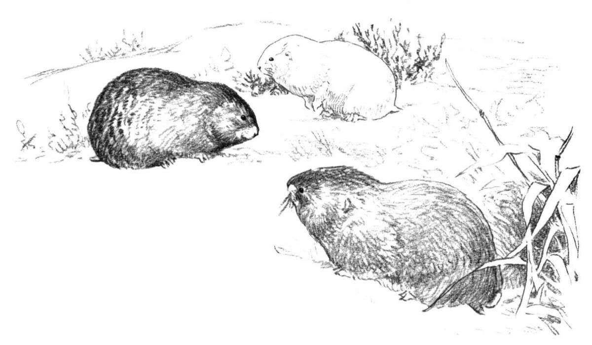 Coloring outgoing lemmings