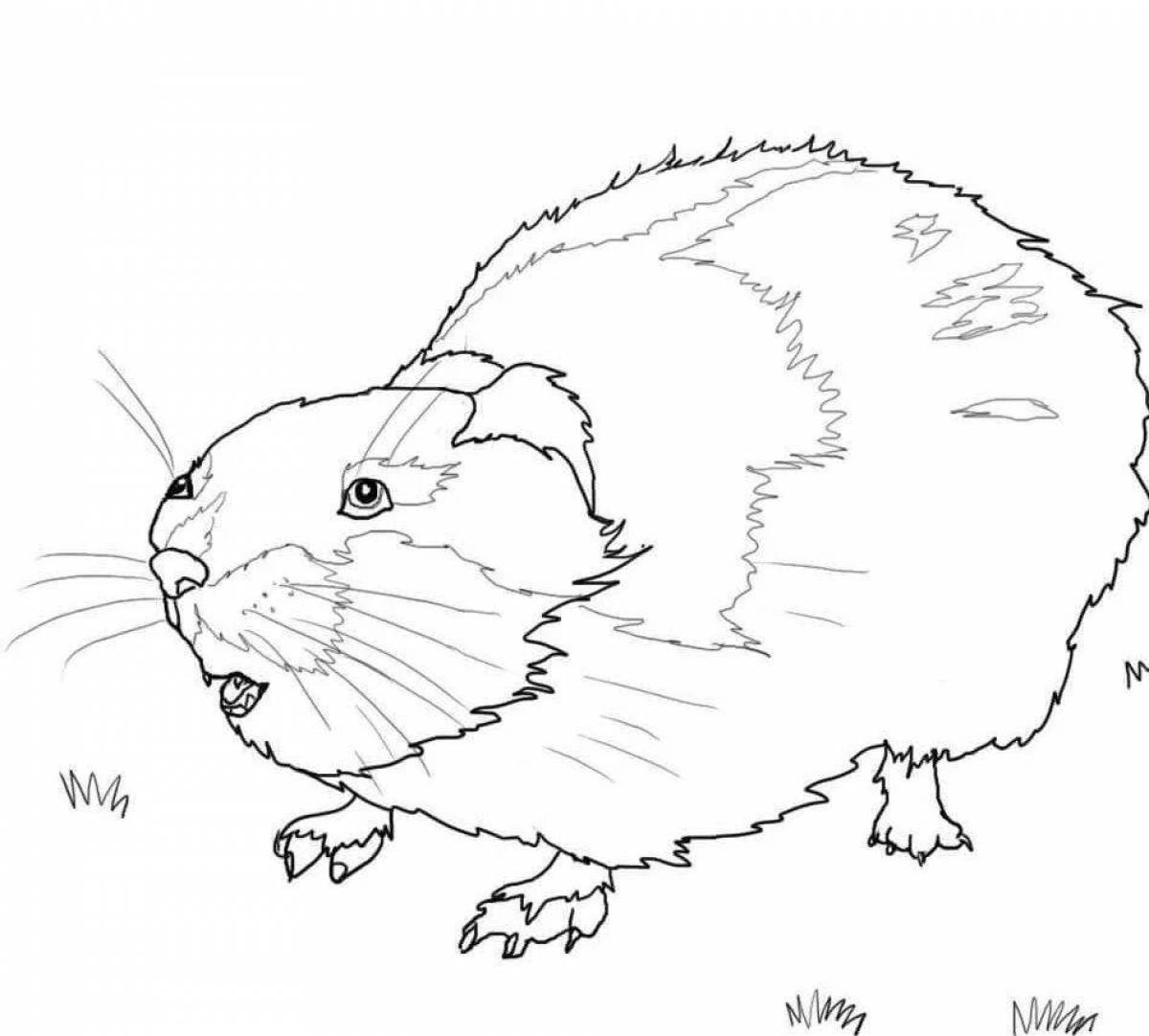 Coloring book cheeky lemming