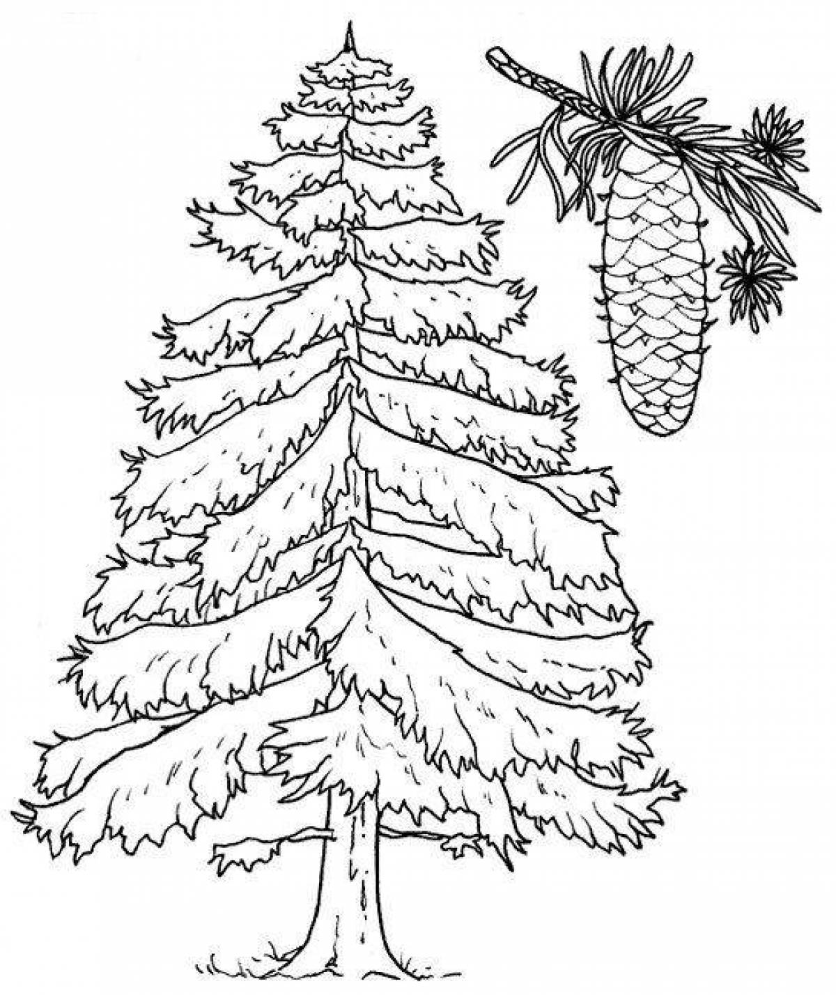 Sparkling fir coloring page