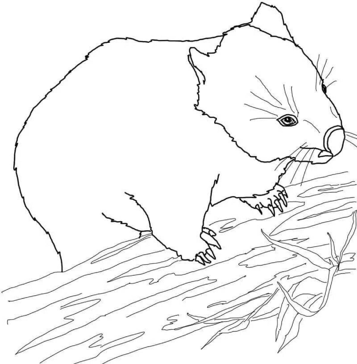 Colorful wombat coloring page