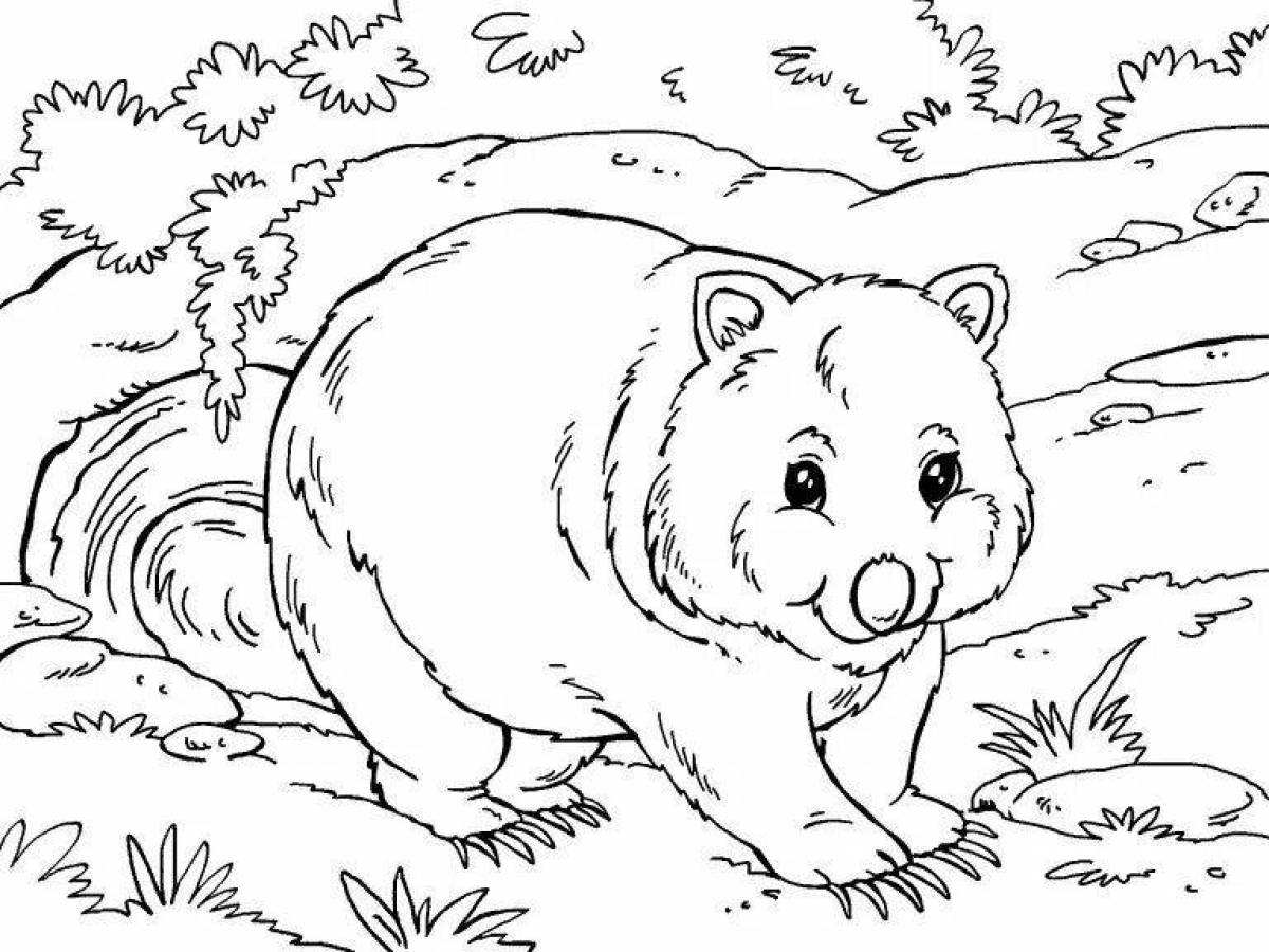 Sweet wombat coloring page