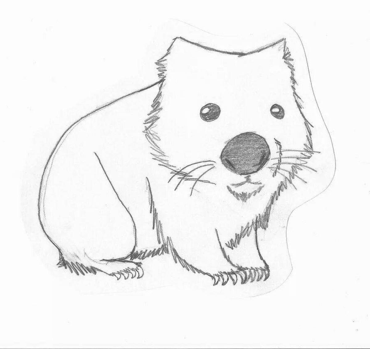 Animated wombat coloring page