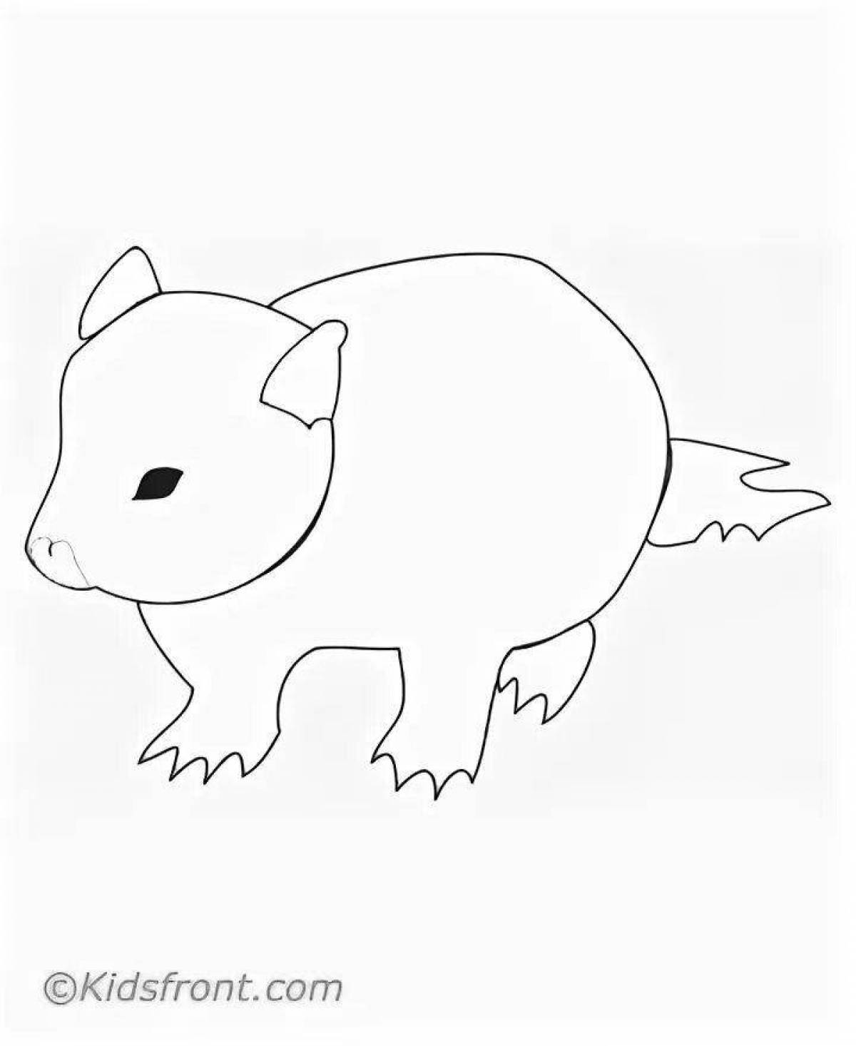 Fun wombat coloring book