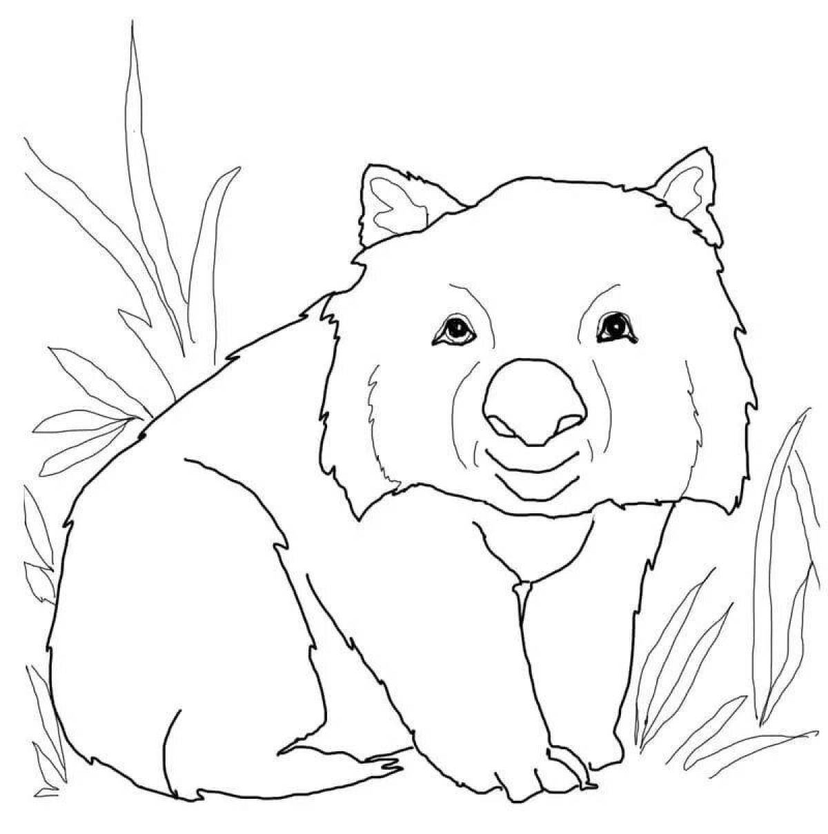 Coloring live wombat
