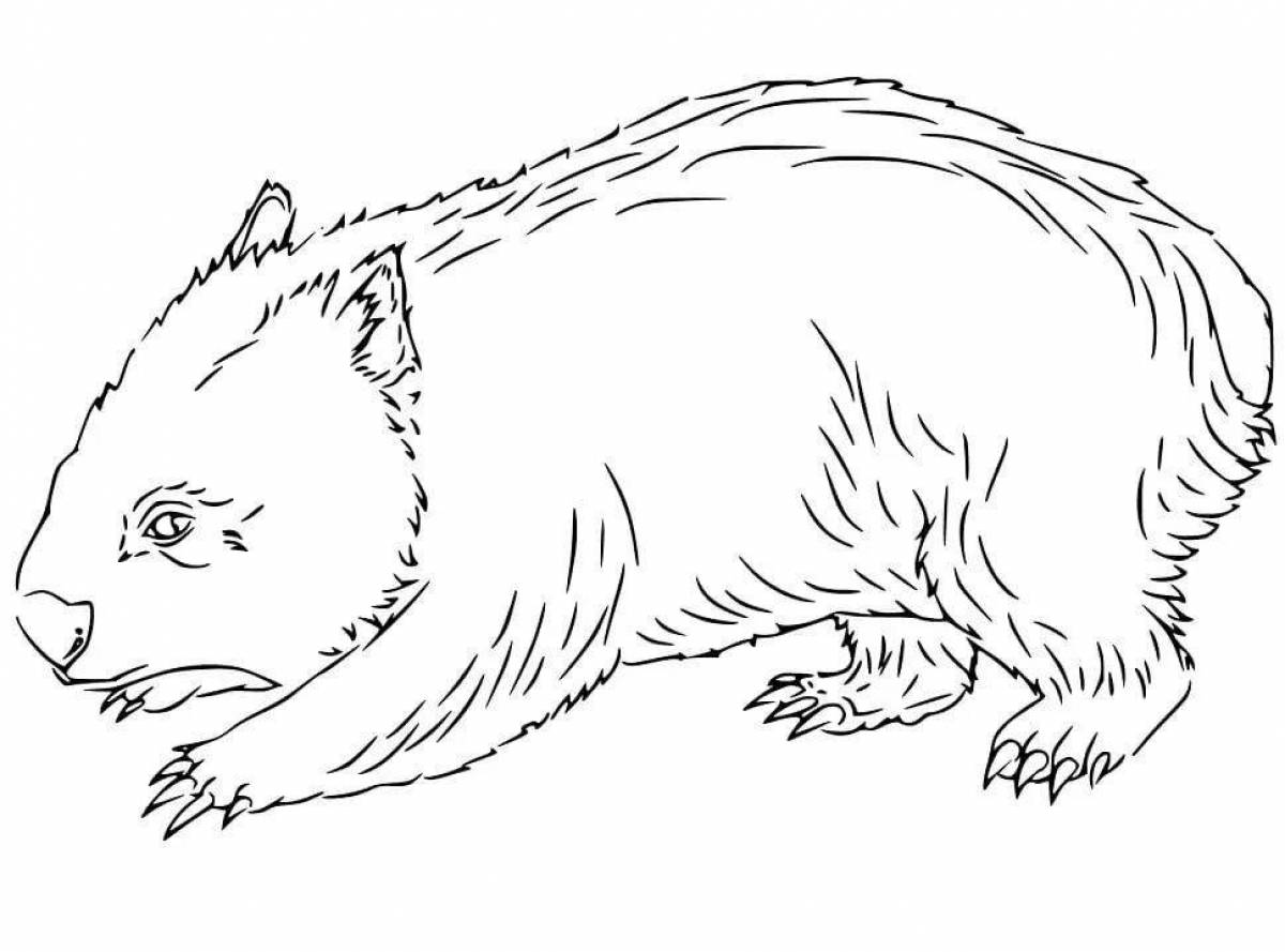 Outgoing wombat coloring page