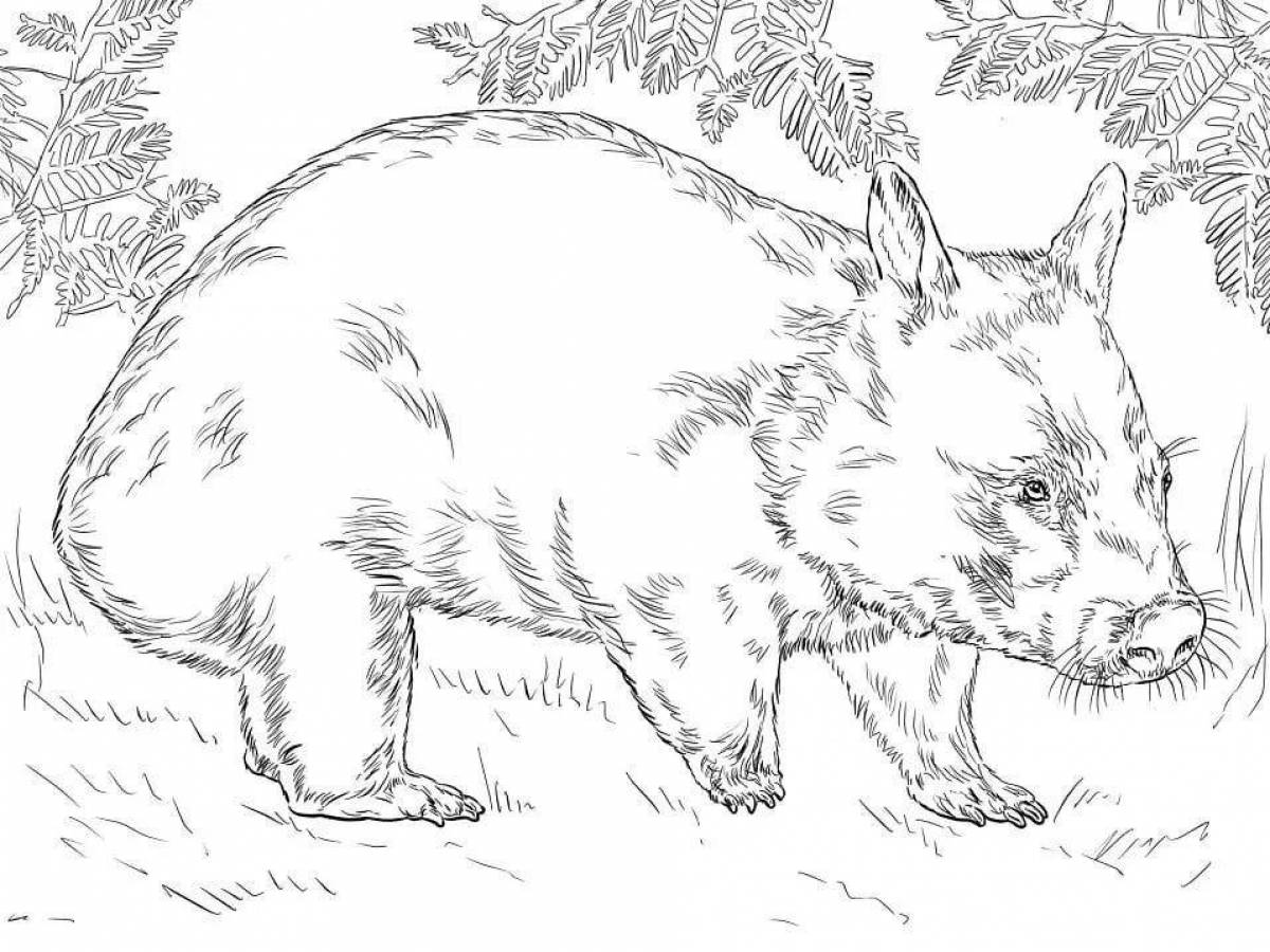 Colouring friendly wombat
