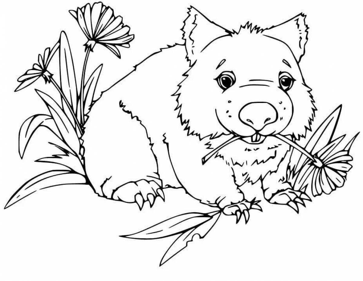 Wombat #1