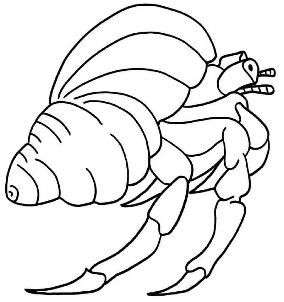 Картинка рак отшельник для детей