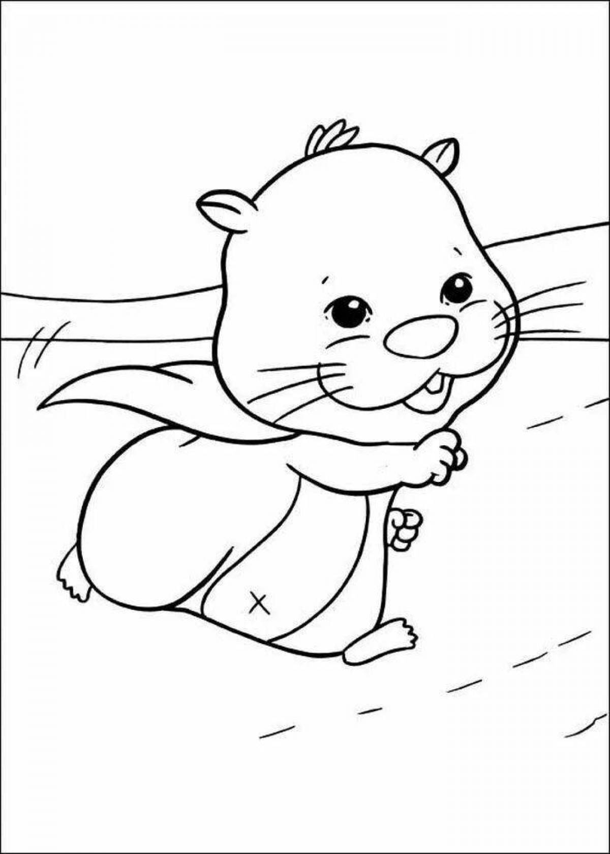 Amazing hamster coloring games