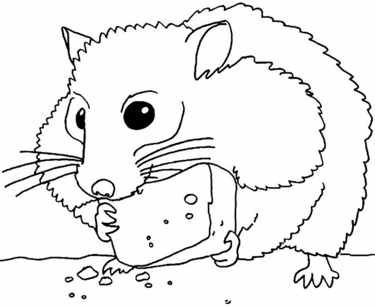 Exciting hamster coloring pages